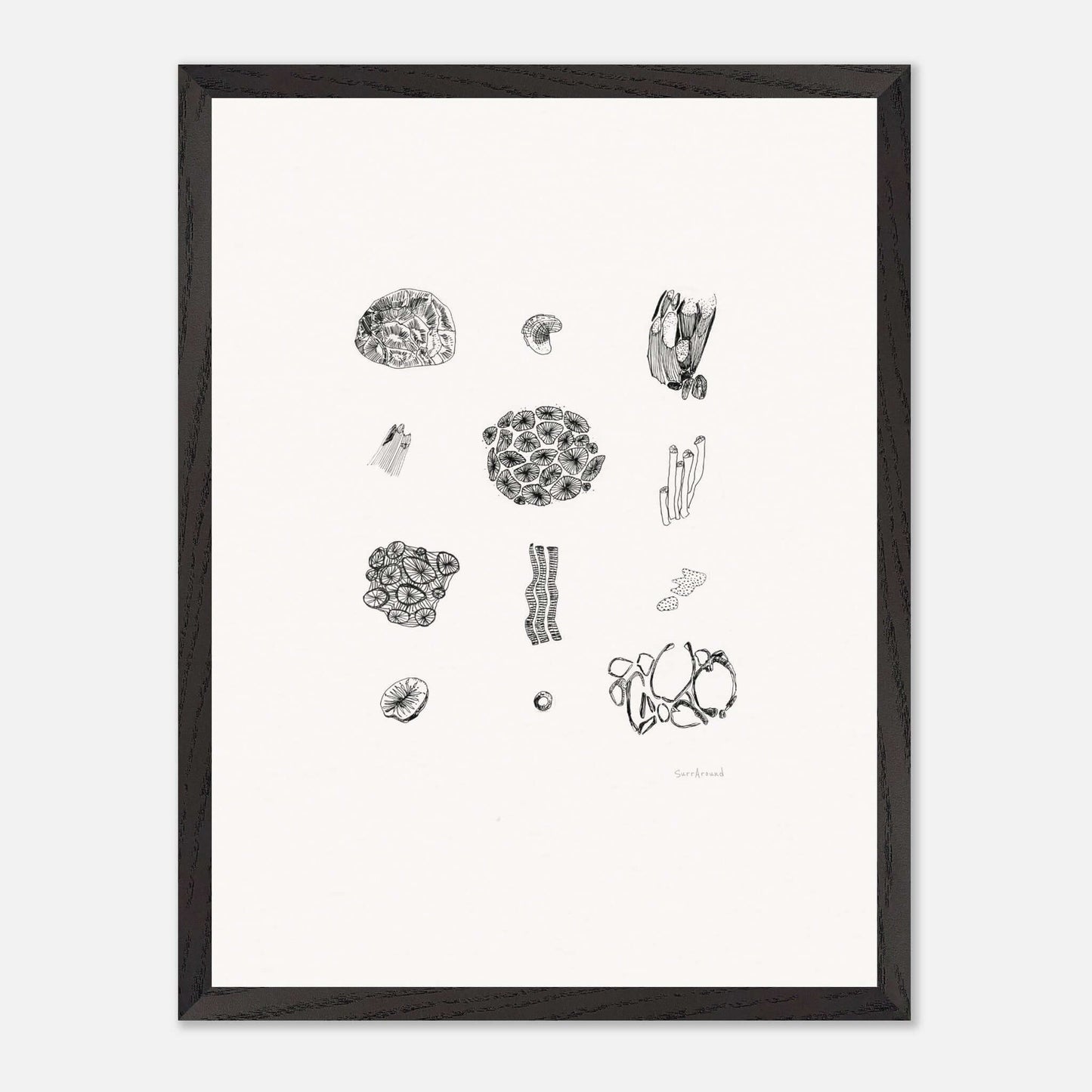 Premium Quality Wall Art, Exmouth Coral in space and time. Corals create coastal formations and are buried behind rocks, in Exmouth, WA. Original hand drawing, enhanced texture with high quality wooden frame and paper.