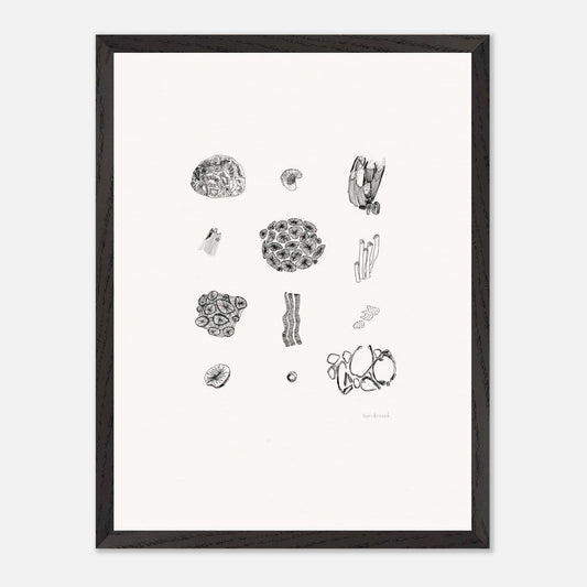 Premium Quality Wall Art, Exmouth Coral in space and time. Corals create coastal formations and are buried behind rocks, in Exmouth, WA. Original hand drawing, enhanced texture with high quality wooden frame and paper.