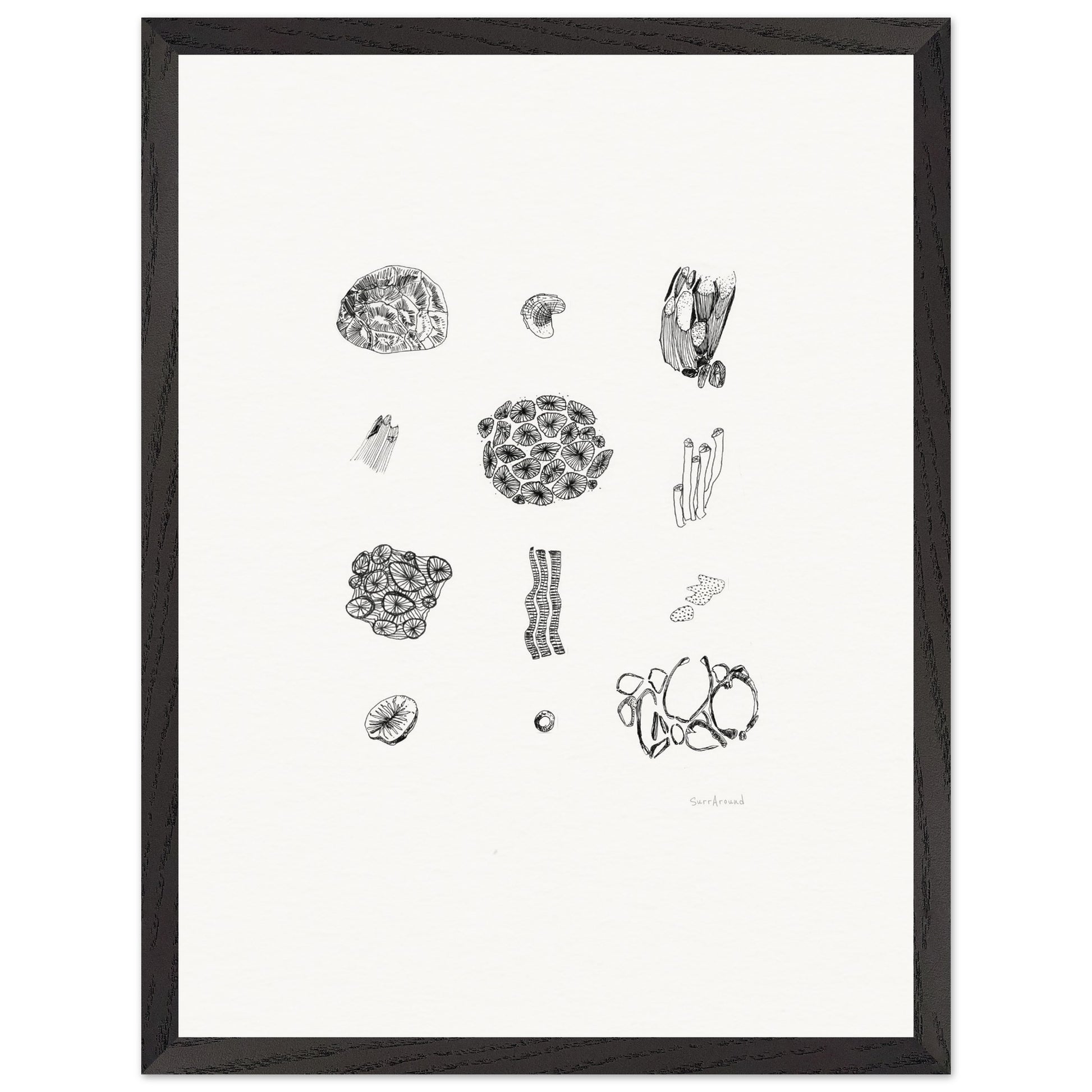 Premium Quality Wall Art, Exmouth Coral in space and time. Corals create coastal formations and are buried behind rocks, in Exmouth, WA. Original hand drawing, enhanced texture with high quality wooden frame and paper.