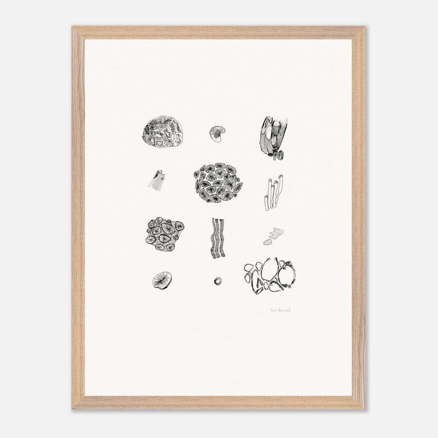 Premium Quality Wall Art, Exmouth Coral in space and time. Corals create coastal formations and are buried behind rocks, in Exmouth, WA. Original hand drawing, enhanced texture with high quality wooden frame and paper.