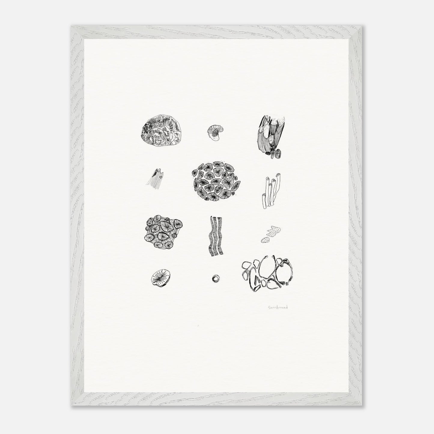 Premium Quality Wall Art, Exmouth Coral in space and time. Corals create coastal formations and are buried behind rocks, in Exmouth, WA. Original hand drawing, enhanced texture with high quality wooden frame and paper.