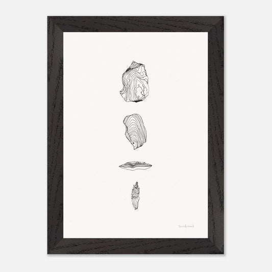 Premium Quality Wall Art, Remain of Cuttlefish. Finding on the beach was a remain of a cuttlefish. It has beautiful lines. Premium Wooden Framed Poster With Museum-Quality Matte Paper Ready to hang.