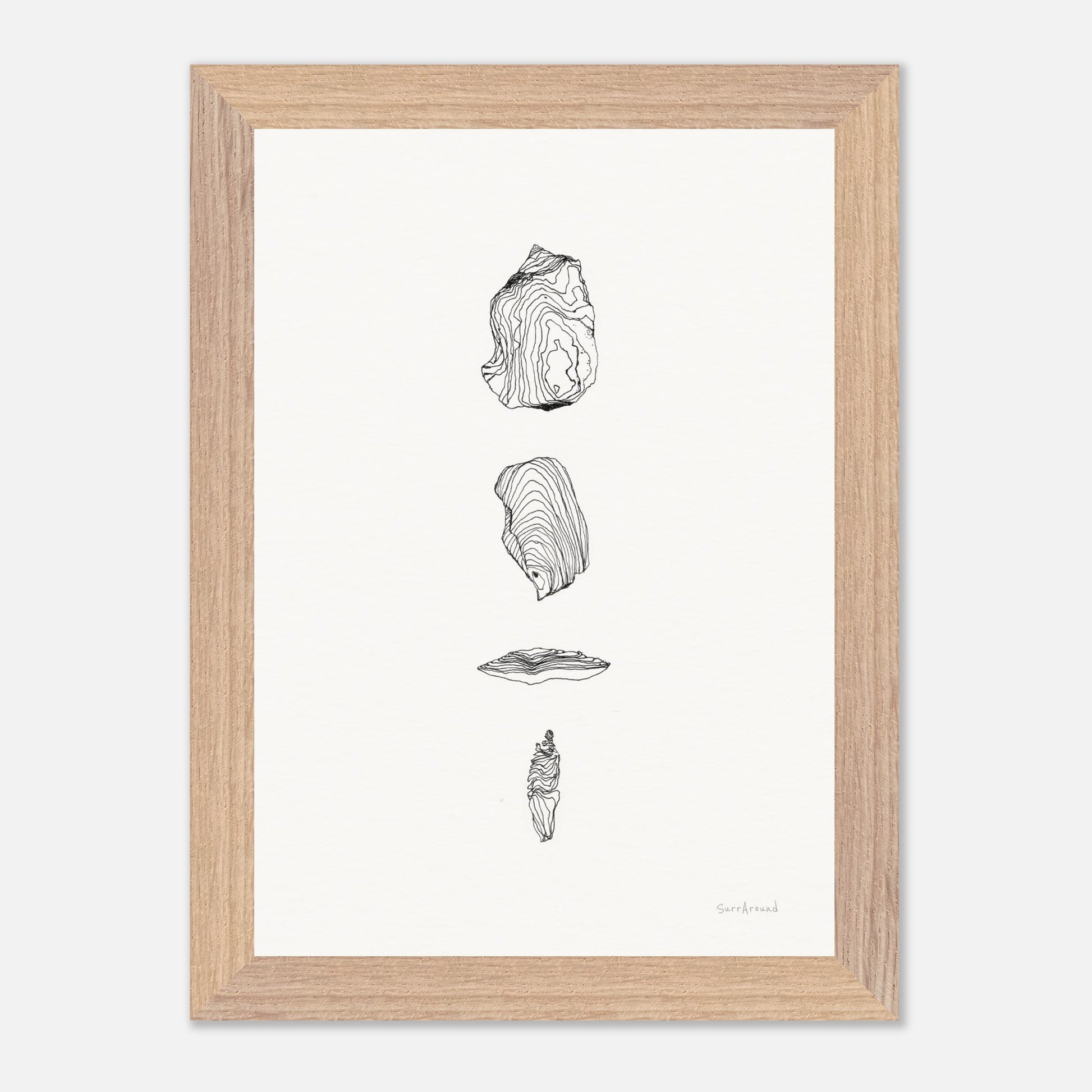 Premium Quality Wall Art, Remain of Cuttlefish. Finding on the beach was a remain of a cuttlefish. It has beautiful lines. Premium Wooden Framed Poster With Museum-Quality Matte Paper Ready to hang.